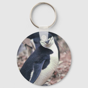 Penguin Bird Süße Tier Schwarz-weißes Wasser Schlüsselanhänger