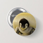 Penguin Button (Vorne & Hinten)