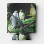 Penguin Can Cooler Dosenkühler (Vorderseite)