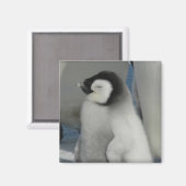 Penguin Chick Magnet (Vorderseite/Rückseite)