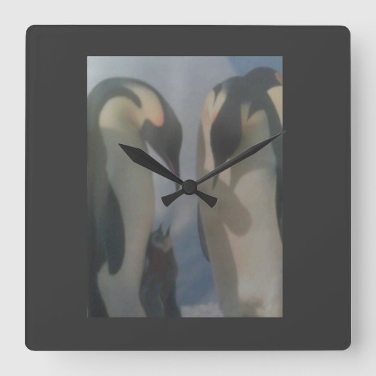 Penguin Clock Quadratische Wanduhr (Vorderseite)
