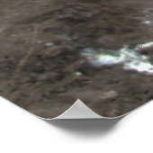 Penguin Closeup Poster (Ecke)