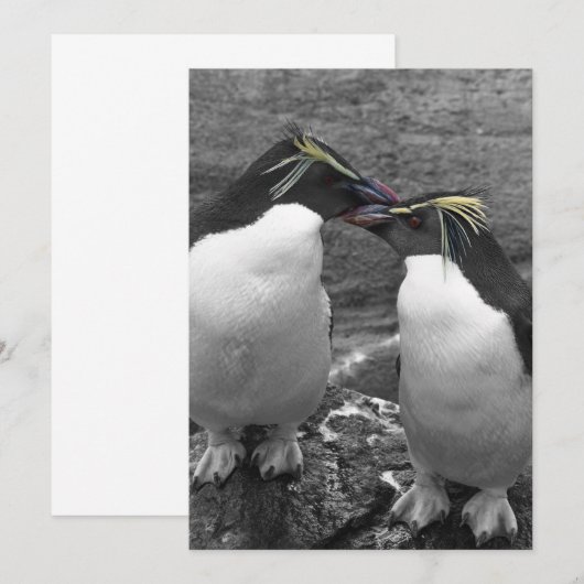 Penguin Colour Splash Einladung (Vorne/Hinten)