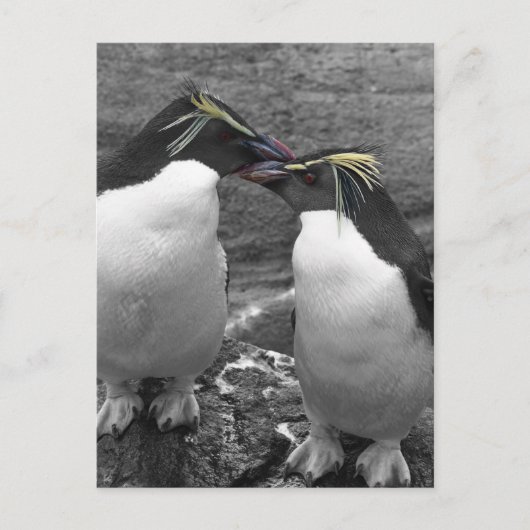 Penguin Colour Splash Feiertagspostkarte (Vorderseite)