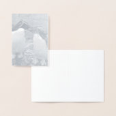 Penguin Colour Splash Folienkarte (Anzeige)