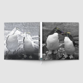 Penguin Colour Splash Gästebuch