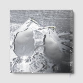 Penguin Colour Splash Gästebuch (Rückseite)