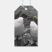 Penguin Colour Splash Geschenkanhänger (Vorderseite)