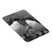 Penguin Colour Splash Magnet (Rechte Seite)