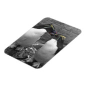 Penguin Colour Splash Magnet (Linke Seite)