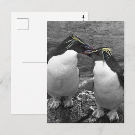 Penguin Colour Splash Postkarte (Vorne/Hinten)