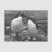 Penguin Colour Splash Seidenpapier (Vorderseite)