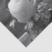 Penguin Colour Splash Seidenpapier (Ausschnitt)