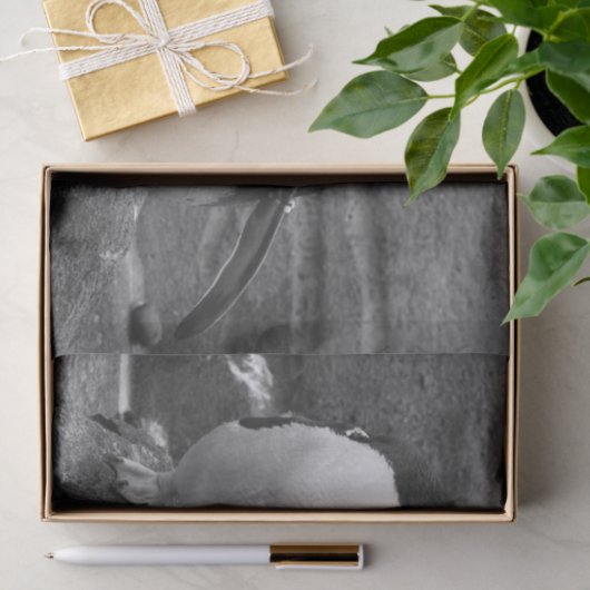 Penguin Colour Splash Seidenpapier (Geschenk)