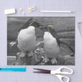 Penguin Colour Splash Seidenpapier (Handwerk)