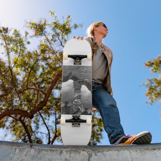 Penguin Colour Splash Skateboard (Außenbereich 1)