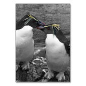Penguin Colour Splash Tischnummer (Rückseite)