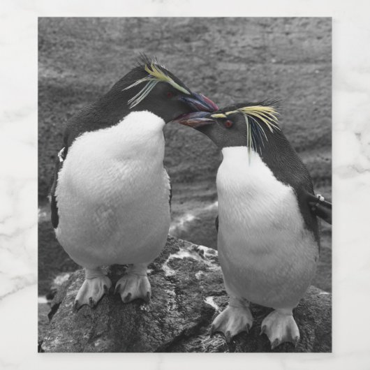 Penguin Colour Splash Weinetikett (Einzelnes Label)