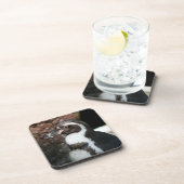 Penguin Cork Untersetzer Set (Rechte Seite)