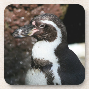 Penguin Cork Untersetzer Set