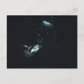 Penguin Dive Postkarte (Vorderseite)