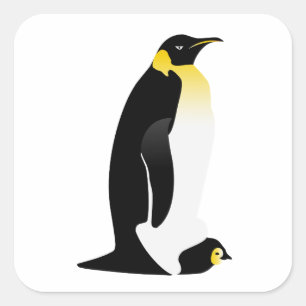 Penguin Eltern mit seinem Baby Quadratischer Aufkleber