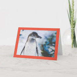 PENGUIN-Faltenkarte Feiertagskarte