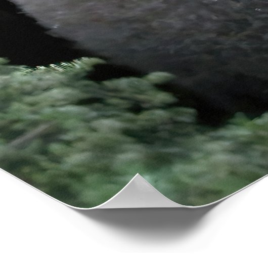 Penguin-Familie Poster (Ecke)