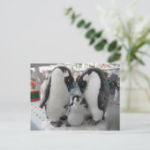 Penguin-Familie Postkarte (Stehend Vorderseite)