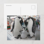 Penguin-Familie Postkarte (Vorne/Hinten)
