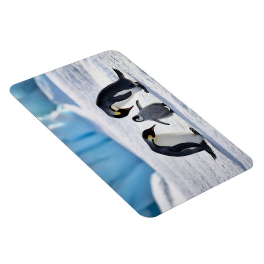 Penguin Family Magnet (Rechte Seite)