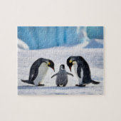 Penguin Family Puzzle (Horizontal)
