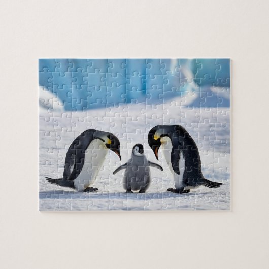 Penguin Family Puzzle (Horizontal)