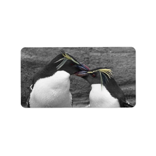 Penguin-Farbenexplosion Adressaufkleber (Vorne)
