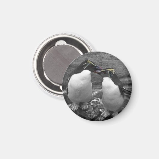 Penguin-Farbenexplosion Magnet (Vorderseite/Rückseite)