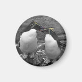 Penguin-Farbenexplosion Magnet (Vorne)