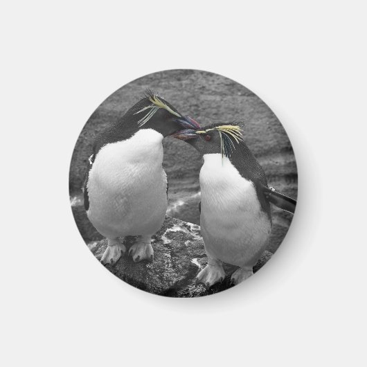 Penguin-Farbenexplosion Magnet (Vorne)