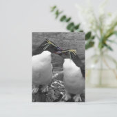 Penguin-Farbenexplosion Postkarte (Stehend Vorderseite)