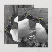 Penguin-Farbenexplosion Postkarte (Vorne/Hinten)