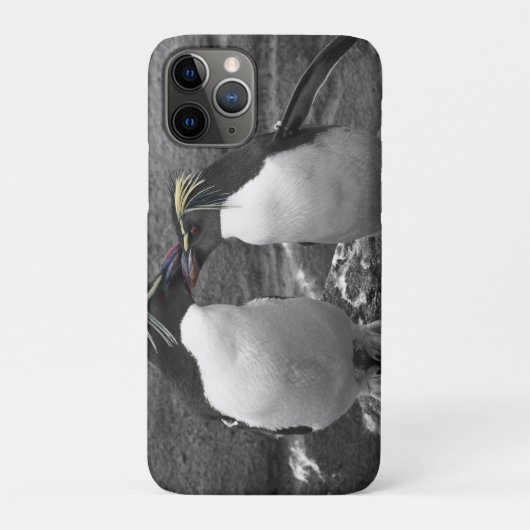 Penguin-Farbenpracht Case-Mate iPhone Hülle (Rückseite)