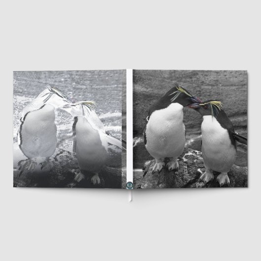 Penguin-Farbenpracht Gästebuch (Voll)