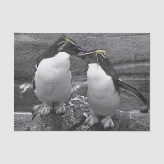Penguin-Farbenpracht Seidenpapier (Vorderseite)