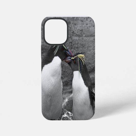 Penguin-Farbexplosion iPhone Hülle (Rückseite)