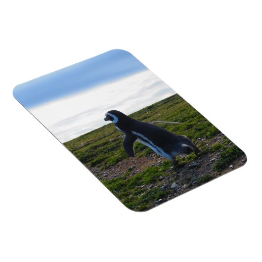 Penguin Flexible Magnet (Rechte Seite)