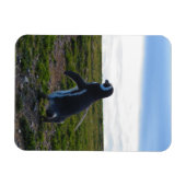 Penguin Flexible Magnet (Horizontal)