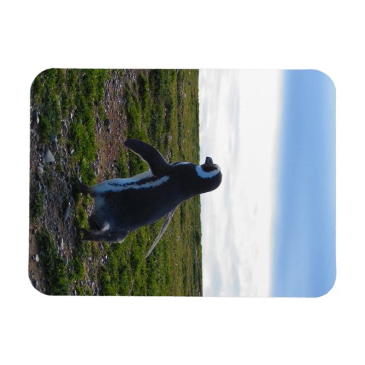 Penguin Flexible Magnet (Horizontal)
