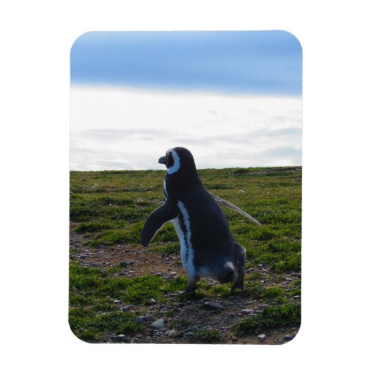 Penguin Flexible Magnet (Vertikal)