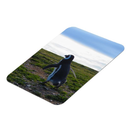 Penguin Flexible Magnet (Linke Seite)