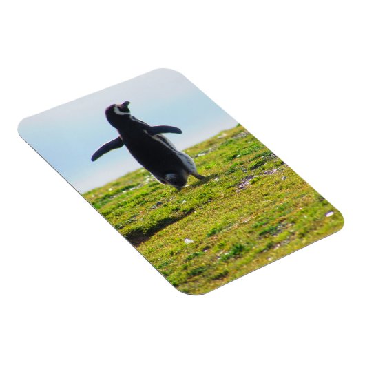 Penguin Flexible Magnet (Rechte Seite)