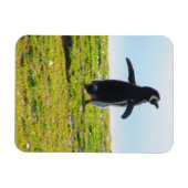 Penguin Flexible Magnet (Horizontal)
